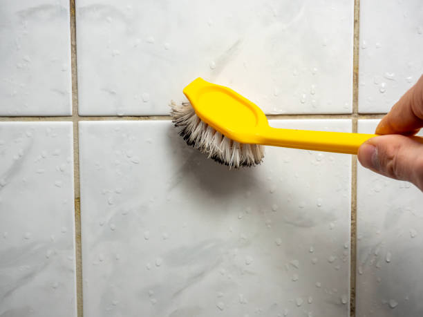 Best Mold Remediation  in Heyworth, IL