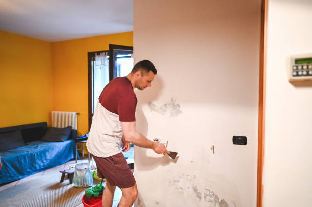 Best Mold Removal and Inspection  in Heyworth, IL