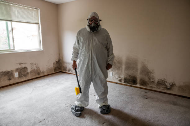 Best Certified Mold Removal  in Heyworth, IL