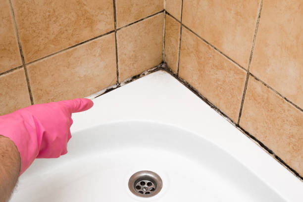 Best Mold Testing  in Heyworth, IL